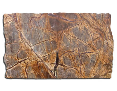 Marble Rainforestbrown Slab513x398